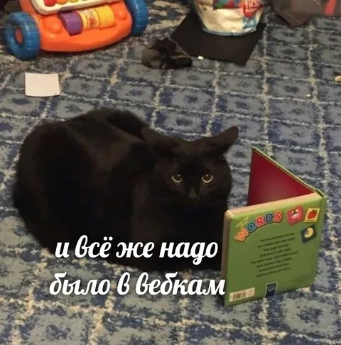 И всё же надо было в вебкам