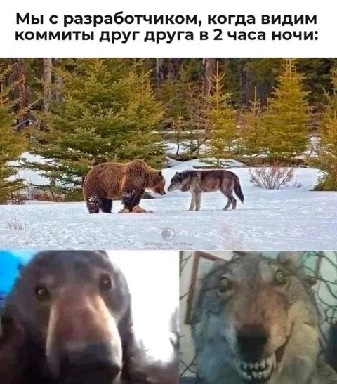 Разработчик и коммит в два часа ночи