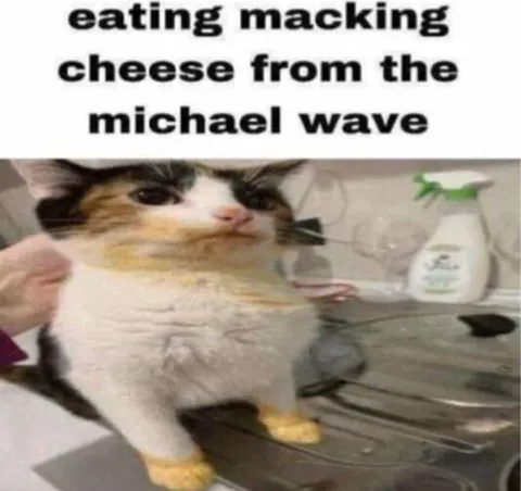 Cat Eating Microwave Mac and Cheese