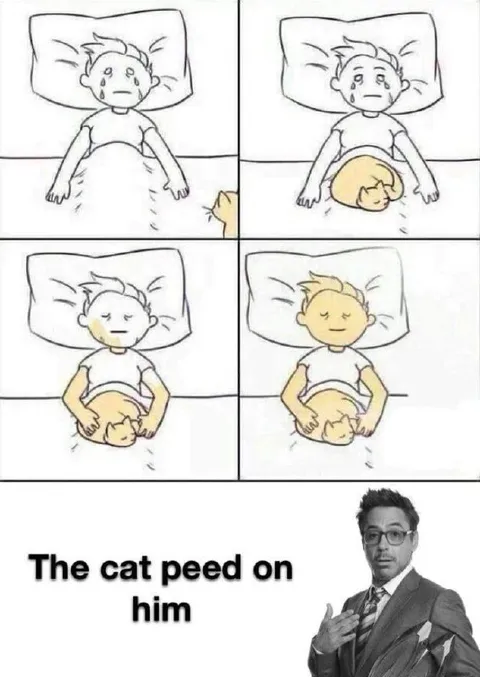 The Cat Peed on Him
