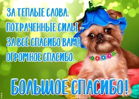 Большое спасибо за всё