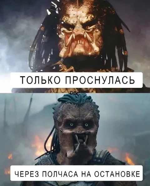 Только проснулась на остановке