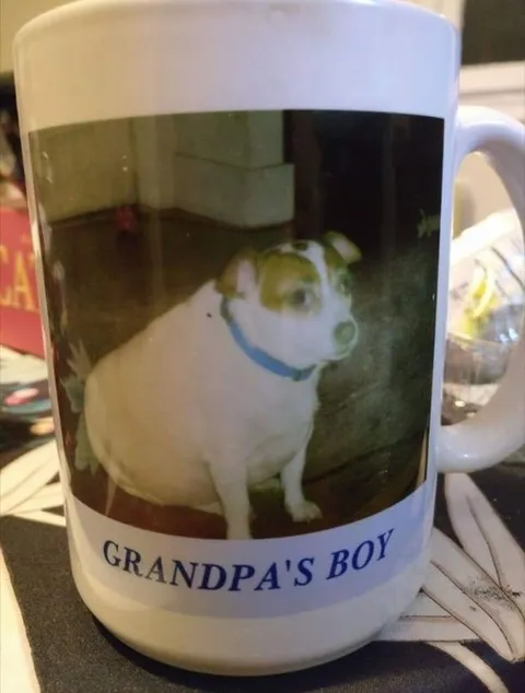 Grandpa's Boy Dog Mug