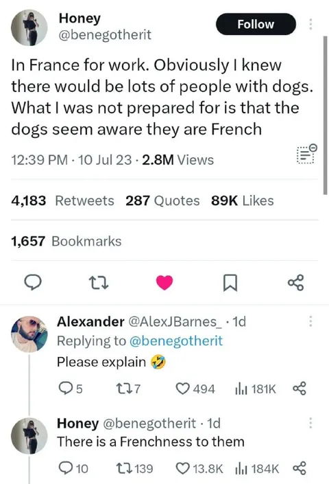 French Dogs Have Frenchness