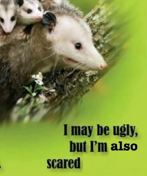 Ugly but Also Scared