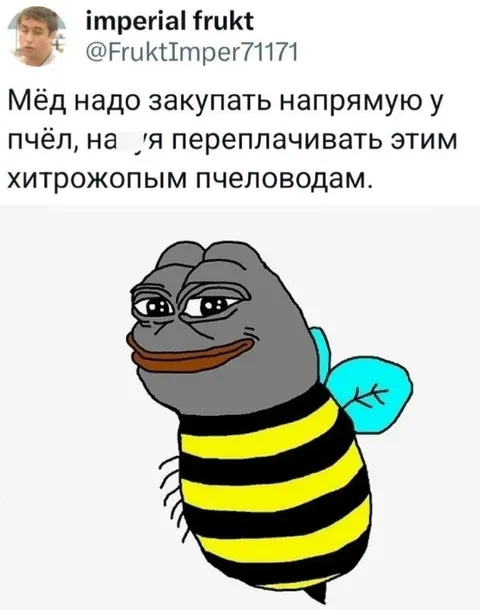 Мёд напрямую у пчёл