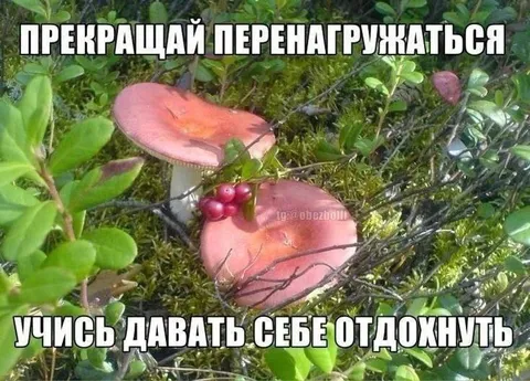 Учись давать себе отдохнуть