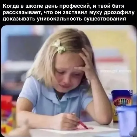 День профессий и муха-доказатель