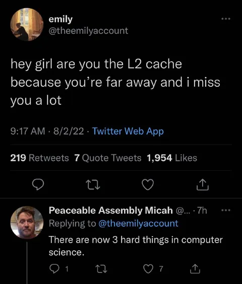 L2 Cache Long Distance Joke