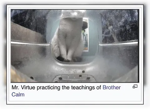 Mr. Virtue Practices Brother Calm
