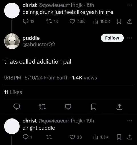 Being Drunk Is Addiction