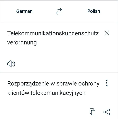 Längstes deutsches Wort übersetzt