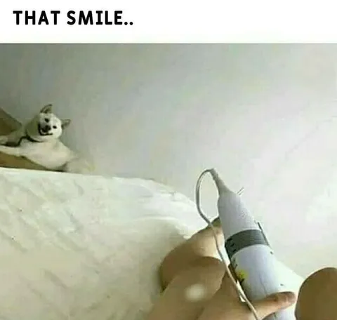 That Smile When It Works