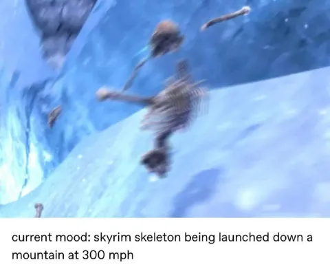 Skyrim Skeleton Flying Down Mountain