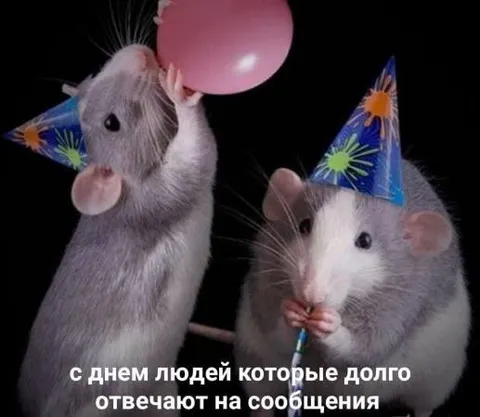 С днём долгих ответов