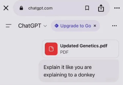 Explain Genetics to a Donkey