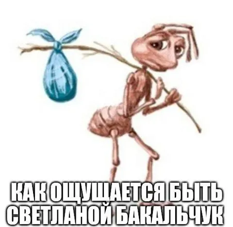 Ощущается быть Светланой Бакальчук