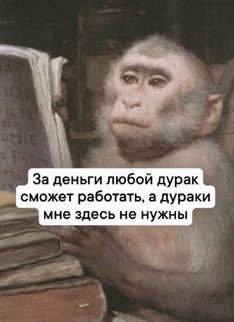 Обезьяна читает о зарплате