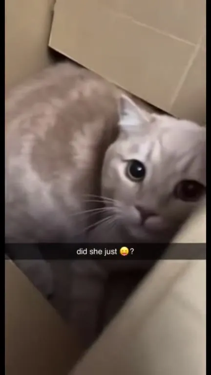 Did She Just Lick Me?