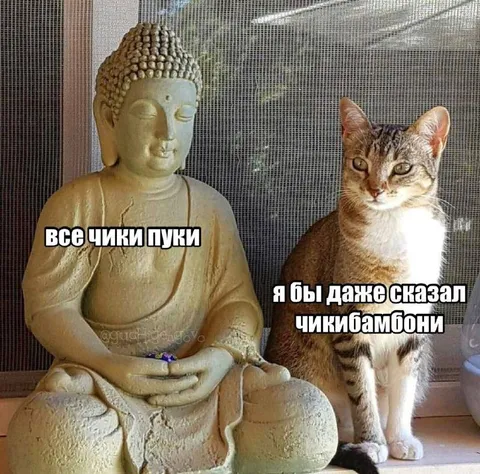 Чики-бамбони с котом