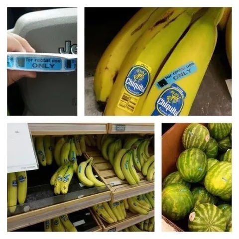 Bananas for Rectal Use Only