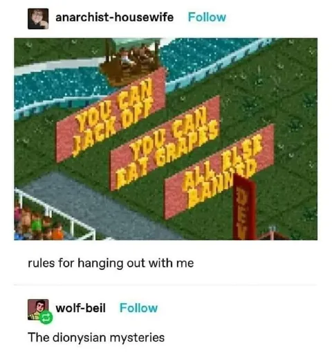 Rules for Hanging Out With Me