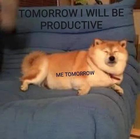 Tomorrow I Will Be Productive