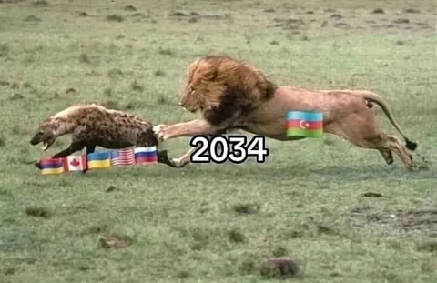 Лев преследует гиену в 2034