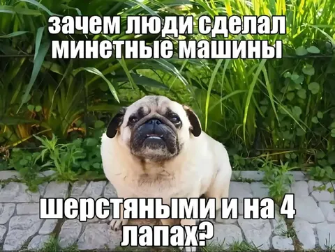 Зачем сделали миниатюрные машины