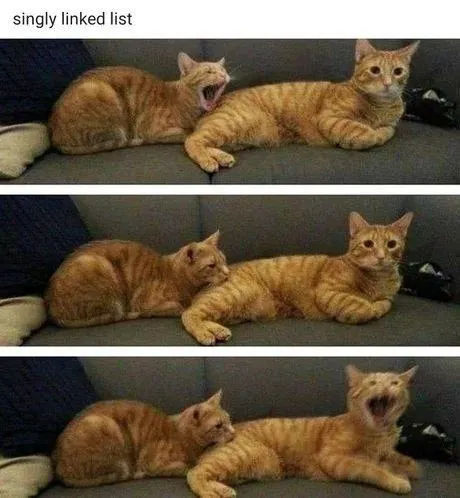 Singly Linked List Cats