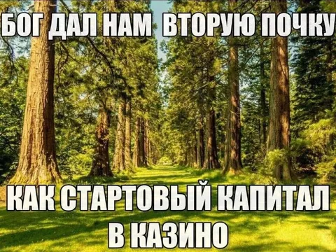 Бог дал нам вторую почку