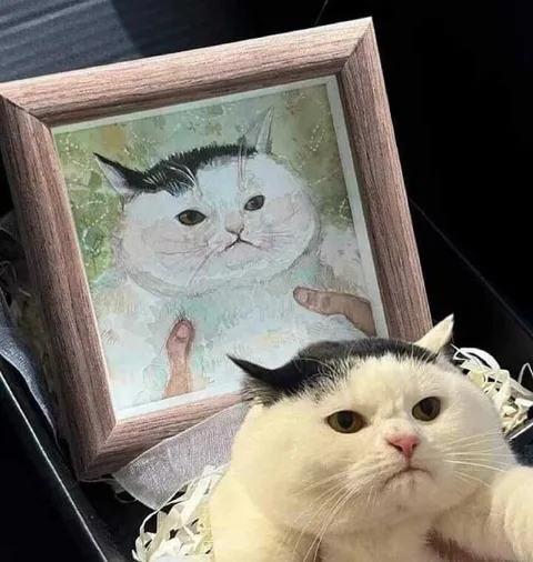 Кот и его портрет