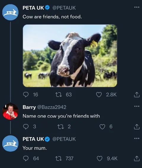 Name One Cow You’re Friends With