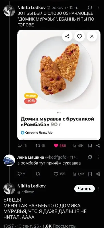 Домик муравья с брусникой