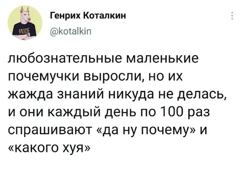 Выросшие почемучки всё ещё спрашивают