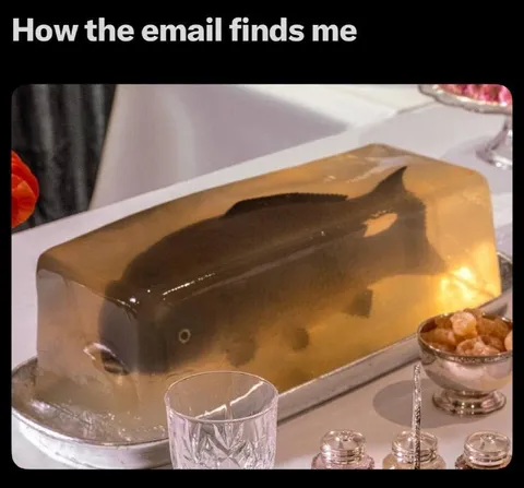 How the Email Finds Me