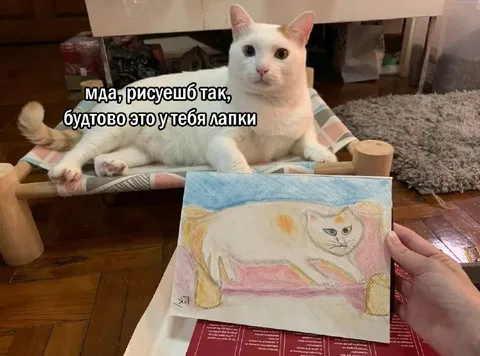 Кот оценивает рисунок