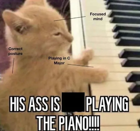 Focused Cat Plays Piano