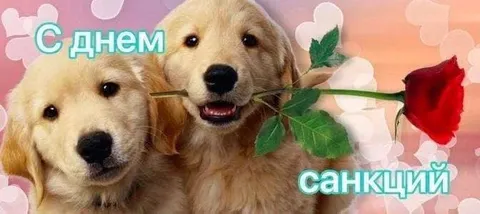 С днем санкций