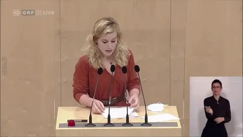 Когда переводчик перехватывает внимание