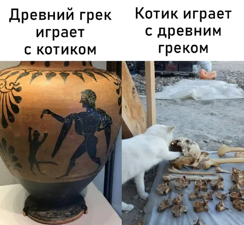 Древний грек и котик