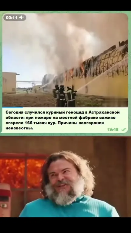 Куриный геноцид под лавовую курицу