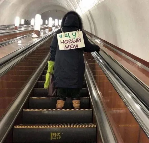 Ищу новый мем