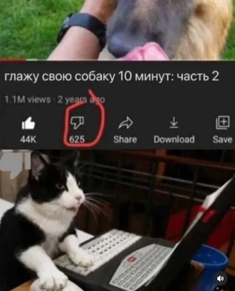Собака получила 625 дизлайков