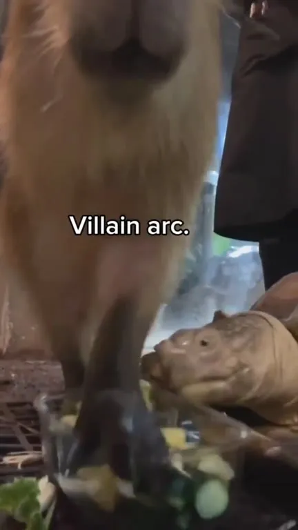 Capybara Villain Arc