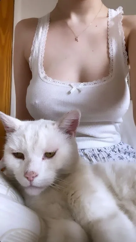 Кот на фоне девушки