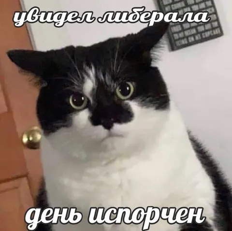Увидел либерала — день испорчен