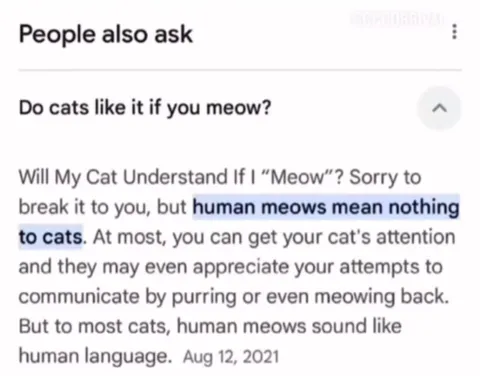 Human Meows Mean Nothing