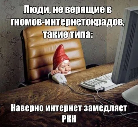 Гном замедляет интернет