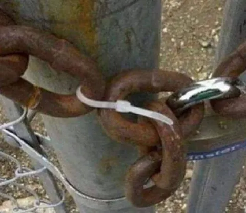 Змеиный клубок